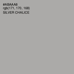 #ABAAA8 - Silver Chalice Color Image